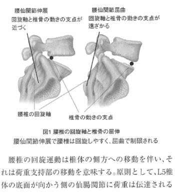 7巻 | 日本カイロプラクティック徒手医学会 JSCC