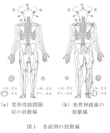 韓国にて施療した変形性膝関節症と坐骨神経痛の各1症例報告の表紙